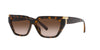 Tiffany TF4205U Havana/Brown Gradient #colour_havana-brown-gradient