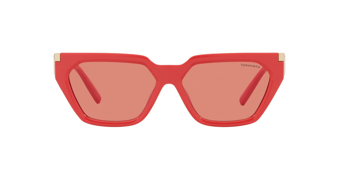Tiffany TF4205U Square Sunglasses | Fashion Eyewear US