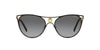 Versace VE2237 Black-Gold/Polarised Grey Gradient #colour_black-gold-polarised-grey-gradient