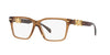 Versace VE3335 Transparent Brown #colour_transparent-brown
