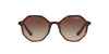 Vogue VO5222S Top Havana-Brown Transparent/Brown Gradient #colour_top-havana-brown-transparent-brown-gradient