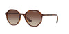 Vogue VO5222S Top Havana-Brown Transparent/Brown Gradient #colour_top-havana-brown-transparent-brown-gradient