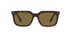 Burberry BE4337 Dark Tortoise/Brown #colour_dark-tortoise-brown