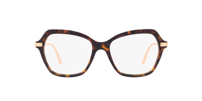 Dolce&Gabbana DG3311 Dark Tortoise #colour_dark-tortoise