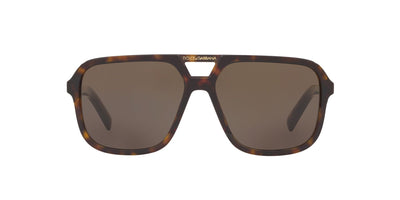 Dolce&Gabbana DG4354 Dark Tortoise/Brown #colour_dark-tortoise-brown