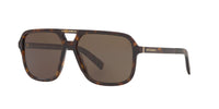 Dark Tortoise/Brown / 58