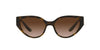 Dolce&Gabbana DG6146 Dark-Tortoise-Brown-Gradient #colour_dark-tortoise-brown-gradient