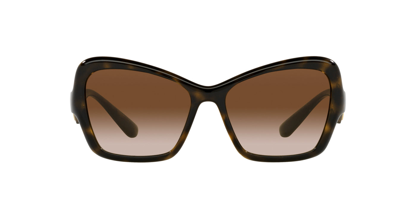 Dolce&Gabbana DG6153 Dark Tortoise/Brown Gradient #colour_dark-tortoise-brown-gradient