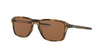 Dark Tortoise/Brown Polarised / 54