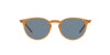 Oliver Peoples Riley Sun OV5004SU Dark-Tortoise-Blue #colour_dark-tortoise-blue