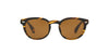 Oliver Peoples Sheldrake OV5036S Dark Tortoise/Brown #colour_dark-tortoise-brown