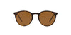 Oliver Peoples O'Malley SUN OV5183S Dark-Tortoise-Brown #colour_dark-tortoise-brown