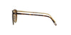 Oliver Peoples O'Malley SUN OV5183S Dark-Tortoise-Brown #colour_dark-tortoise-brown