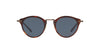 Oliver Peoples OP-505 SUN OV5184S Dark-Tortoise-Blue #colour_dark-tortoise-blue