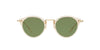 Oliver Peoples OP-505 SUN OV5184S Yellow-Green #colour_yellow-green