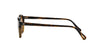 Oliver Peoples Gregory Peck SUN OV5217S Horn-Brown #colour_horn-brown
