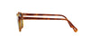 Oliver Peoples Gregory Peck SUN OV5217S Light-Tortoise-Blue #colour_light-tortoise-blue