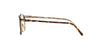 Oliver Peoples Finley Vintage OV5397U Horn #colour_horn