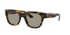 Oliver Peoples Shiller OV5433U Dark Tortoise #colour_dark-tortoise