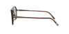 Oliver Peoples Nilos OV5439U Brown #colour_brown