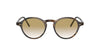 Oliver Peoples Maxson OV5445U Dark-Tortoise #colour_dark-tortoise