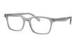 Oliver Peoples Nisen OV5446U