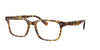 Oliver Peoples Nisen OV5446U Dark Tortoise #colour_dark-tortoise