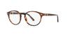 Polo Ralph Lauren PH2208 Light Tortoise 1 #colour_light-tortoise-1