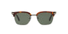 Persol PO3199S Dark Tortoise/Green #colour_dark-tortoise-green