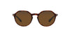 Persol PO3255S Brown/Brown Polarised #colour_brown-brown-polarised