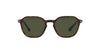 Persol PO3256S Dark Tortoise/Green #colour_dark-tortoise-green