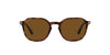 Persol PO3256S Dark Tortoise/Brown Polarised #colour_dark-tortoise-brown-polarised