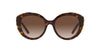 Prada SPR01Y Dark-Tortoise-Brown-Gradient #colour_dark-tortoise-brown-gradient