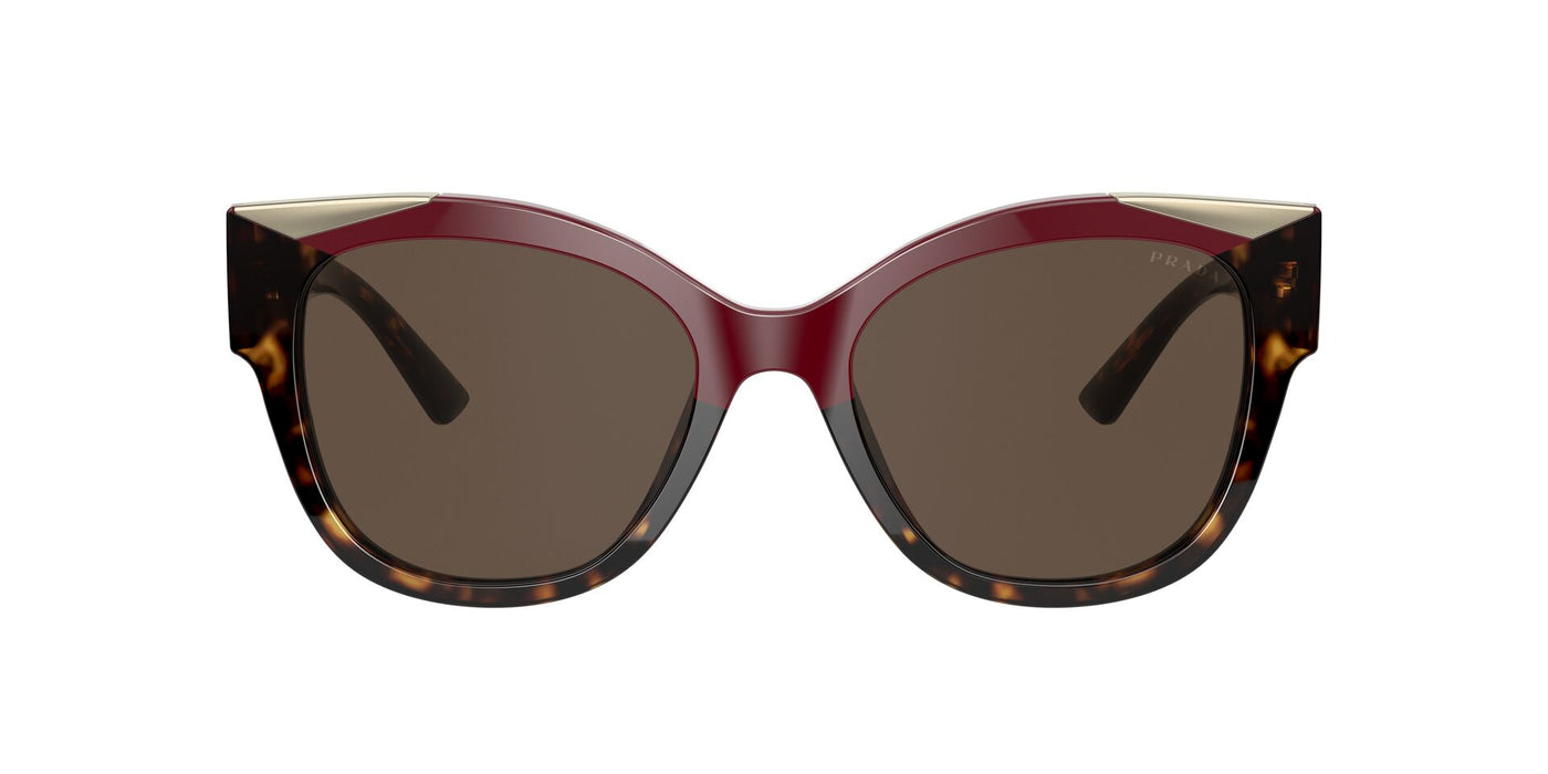 Prada SPR02W Red/Brown #colour_red-brown