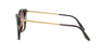Prada SPR12X Brown-Brown-Gradient #colour_brown-brown-gradient
