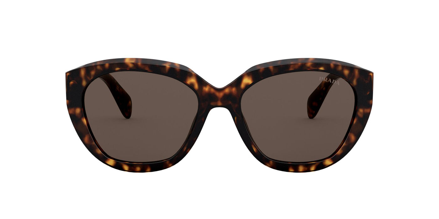 Prada SPR16X Dark-Tortoise-Brown #colour_dark-tortoise-brown