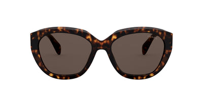 Prada SPR16X Dark-Tortoise-Brown #colour_dark-tortoise-brown