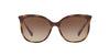 Ralph by Ralph Lauren RA5248 Dark Tortoise/Brown Gradient #colour_dark-tortoise-brown-gradient