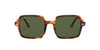 Ray-Ban Square II RB1973 Dark-Tortoise-Green #colour_dark-tortoise-green