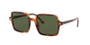 Ray-Ban Square II RB1973 Dark-Tortoise-Green #colour_dark-tortoise-green