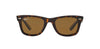 Ray-Ban Original Wayfarer RB2140 Dark-Tortoise-Brown-Polarised #colour_dark-tortoise-brown-polarised