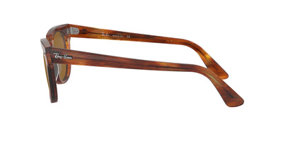 Ray-Ban Metor RB2168 Light-Tortoise-Brown #colour_light-tortoise-brown