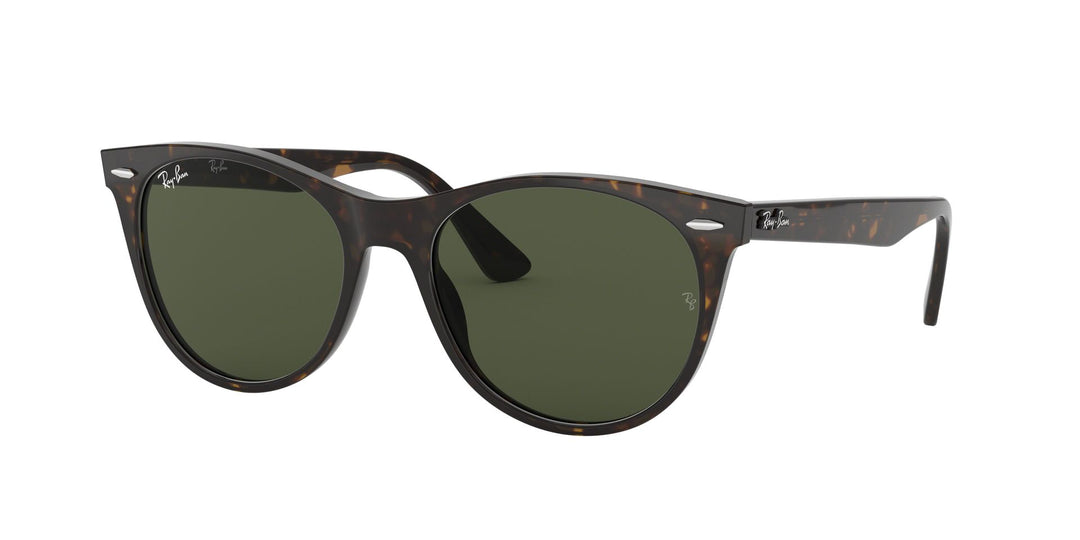 Ray-Ban Wayfarer II Evolve RB2185 Sunglasses | Fashion Eyewear US
