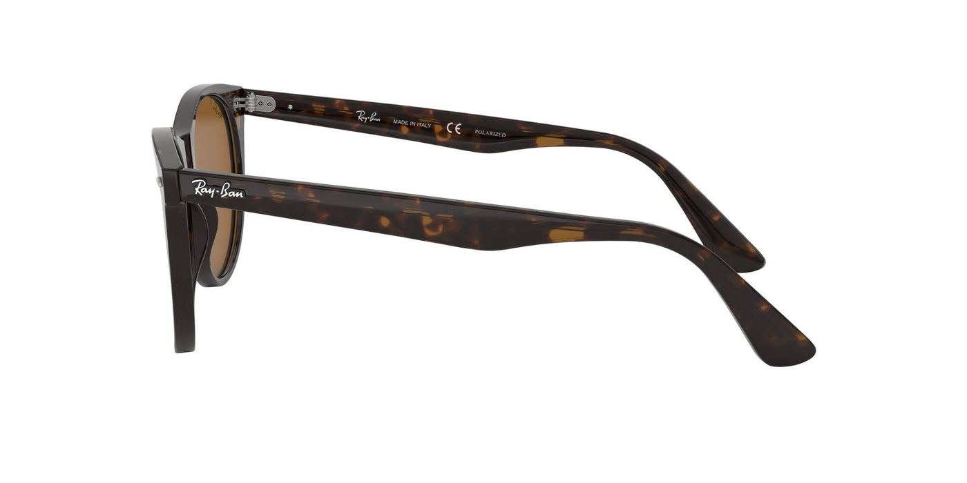 Ray-Ban Wayfarer II Evolve RB2185 Light Tortoise/Brown Polarised #colour_light-tortoise-brown-polarised