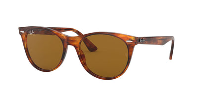 Ray-Ban Wayfarer II Evolve RB2185 Light Tortoise/Brown #colour_light-tortoise-brown