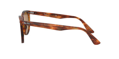 Ray-Ban Wayfarer II Evolve RB2185 Light Tortoise/Brown #colour_light-tortoise-brown