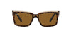 Ray-Ban Inverness RB2191 Dark-Tortoise-Brown-Polarised #colour_dark-tortoise-brown-polarised