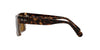 Ray-Ban Inverness RB2191 Dark-Tortoise-Brown-Polarised #colour_dark-tortoise-brown-polarised