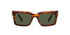 Ray-Ban Inverness RB2191 Dark-Tortoise-Green #colour_dark-tortoise-green