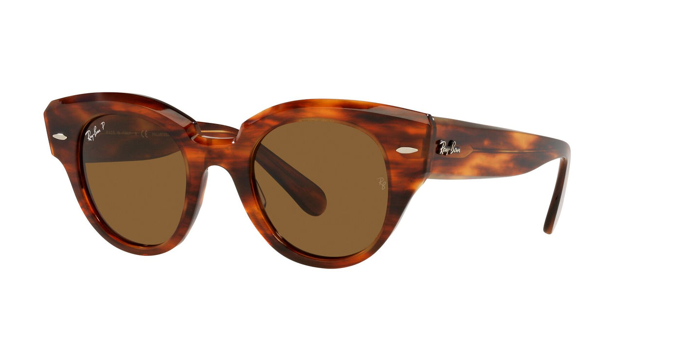 Ray-Ban Roundabout RB2192 Light-Tortoise-Brown-Polarised #colour_light-tortoise-brown-polarised